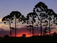 /album/galeria-de-fotos/a1338330214eea31a2a68d45-09624822-jpg/